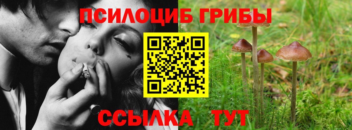 Галлюциногенные грибы прущие грибы Вичуга